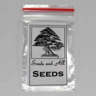 GrowYourOwn Bonsai Starter Kit - Japanese Red Cedar - Everything you need to get started! - Image 8