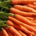 Seedeo® Möhrensamen 'Rolanka' BIO – Ca. 100 Samen, Daucus Carota, Für Den Eigenen Anbau